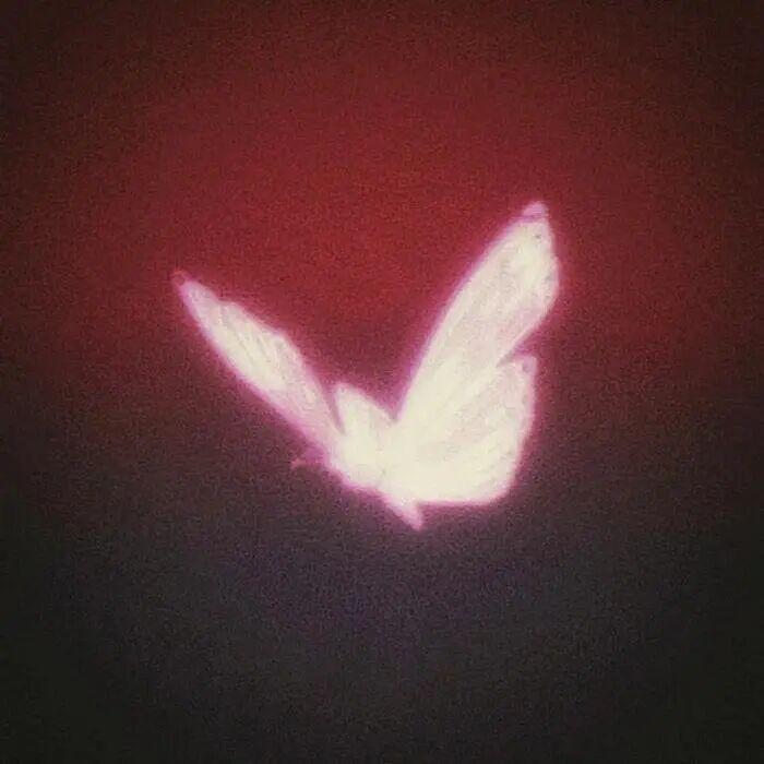 Y-