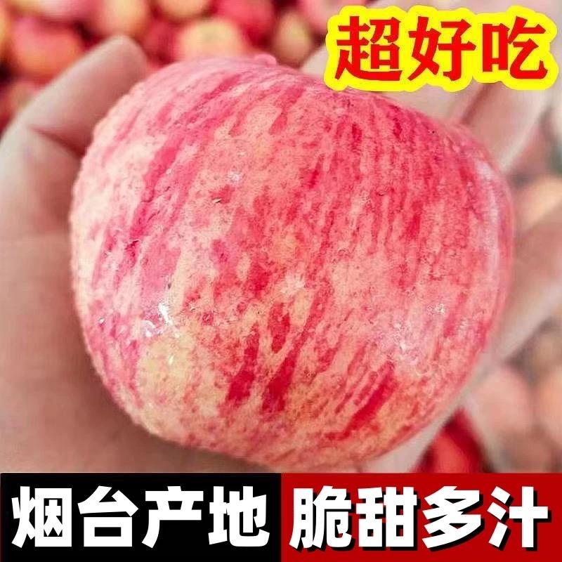 蓬莱大辛店岳岳果品