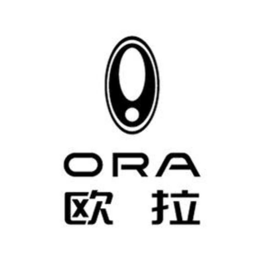 欧拉汽车沧州润礼店