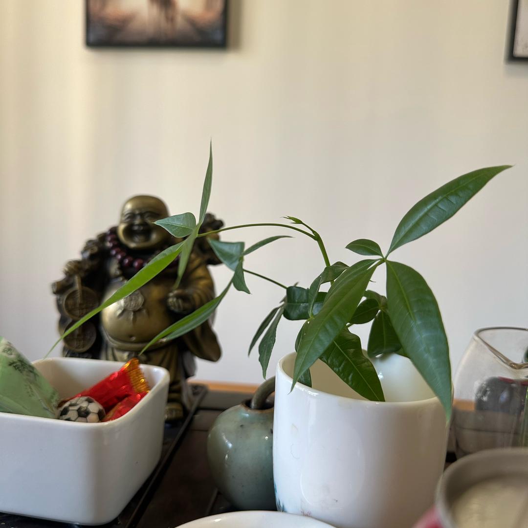 胜诚时代有限公司市场部诚诚