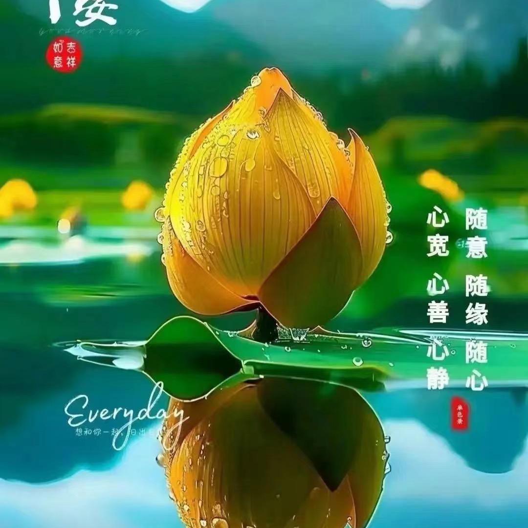 阳光绿叶