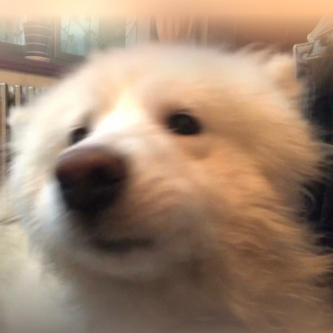 小宝.6