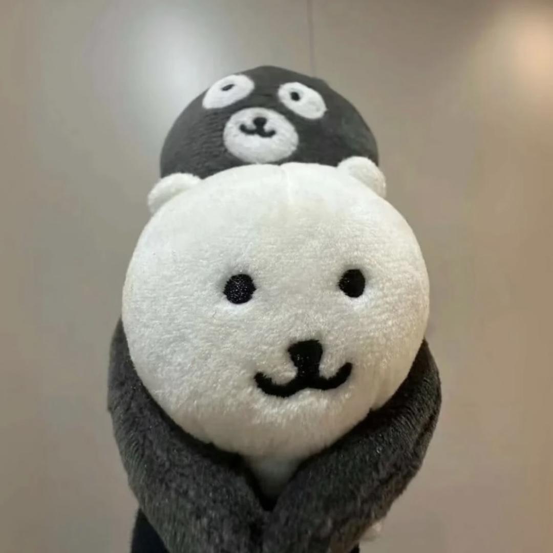 桃🌙