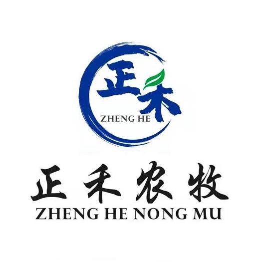 污水粪污处理设备厂家正禾农牧