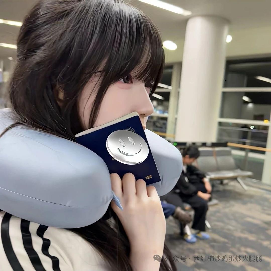 别动我的飞机头