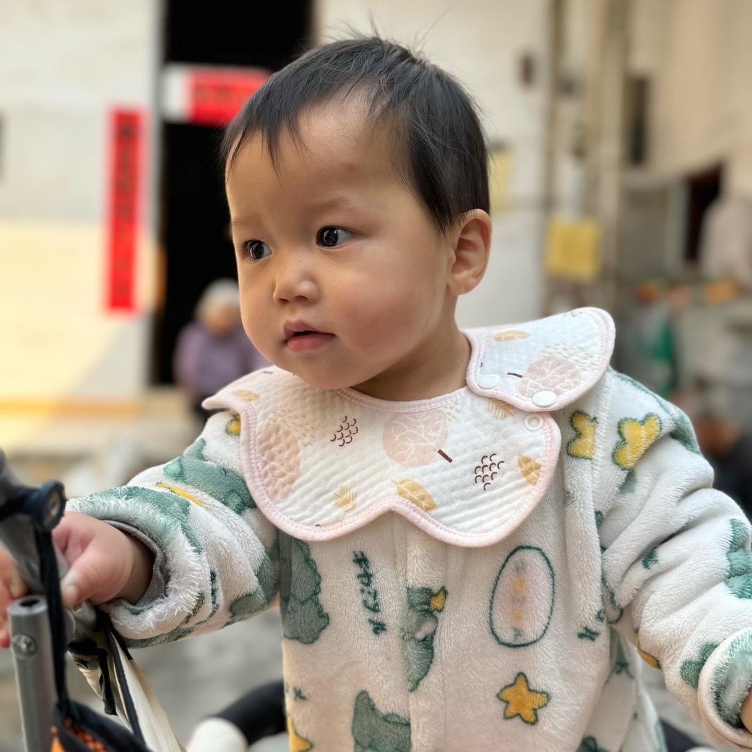 北极熊🐻‍❄️