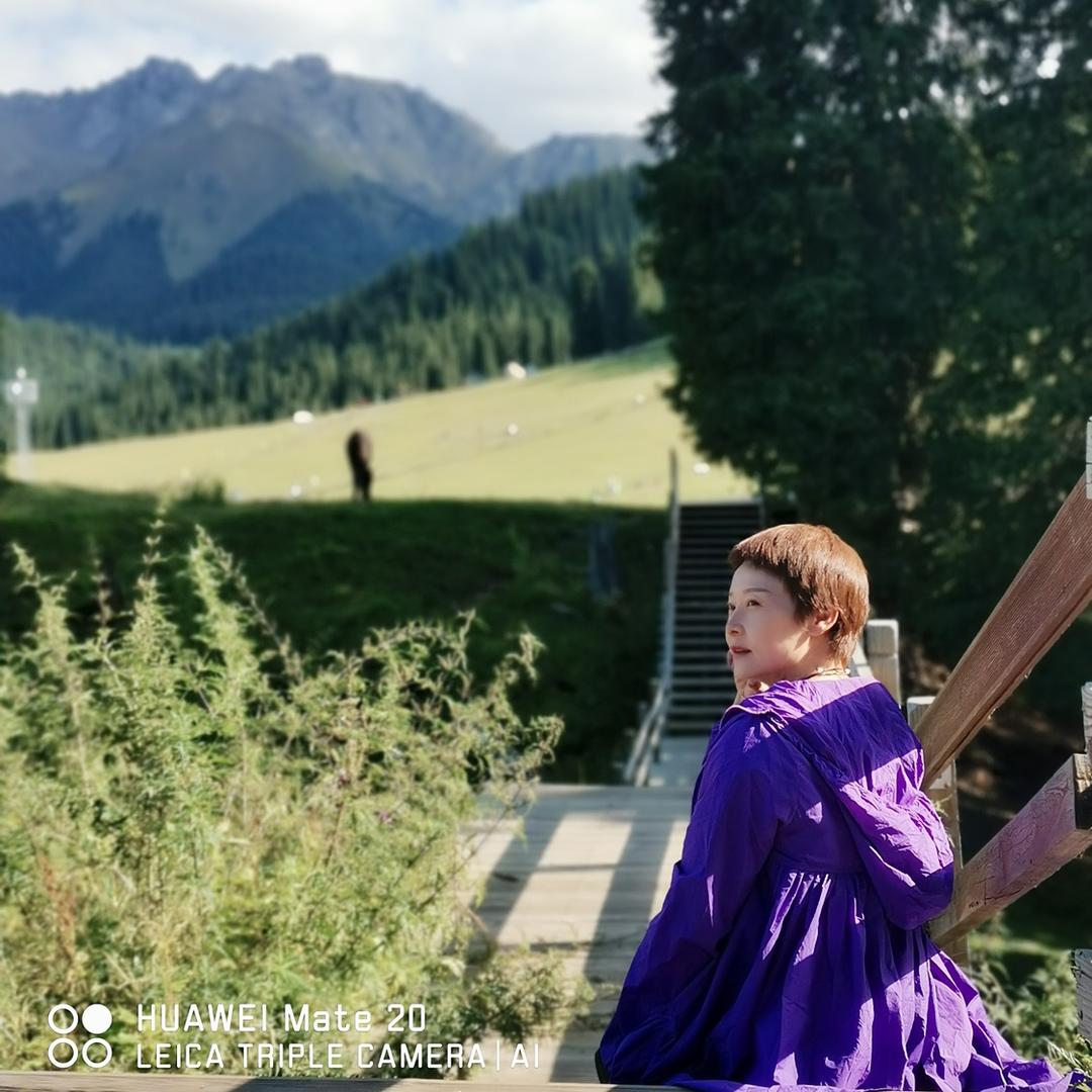 🌴森🌴林🌴骏🌴马🌴