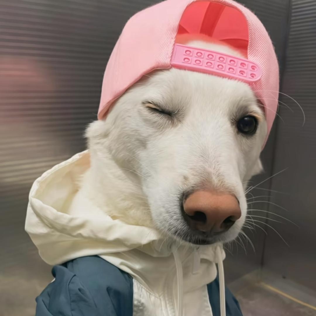 小许呀