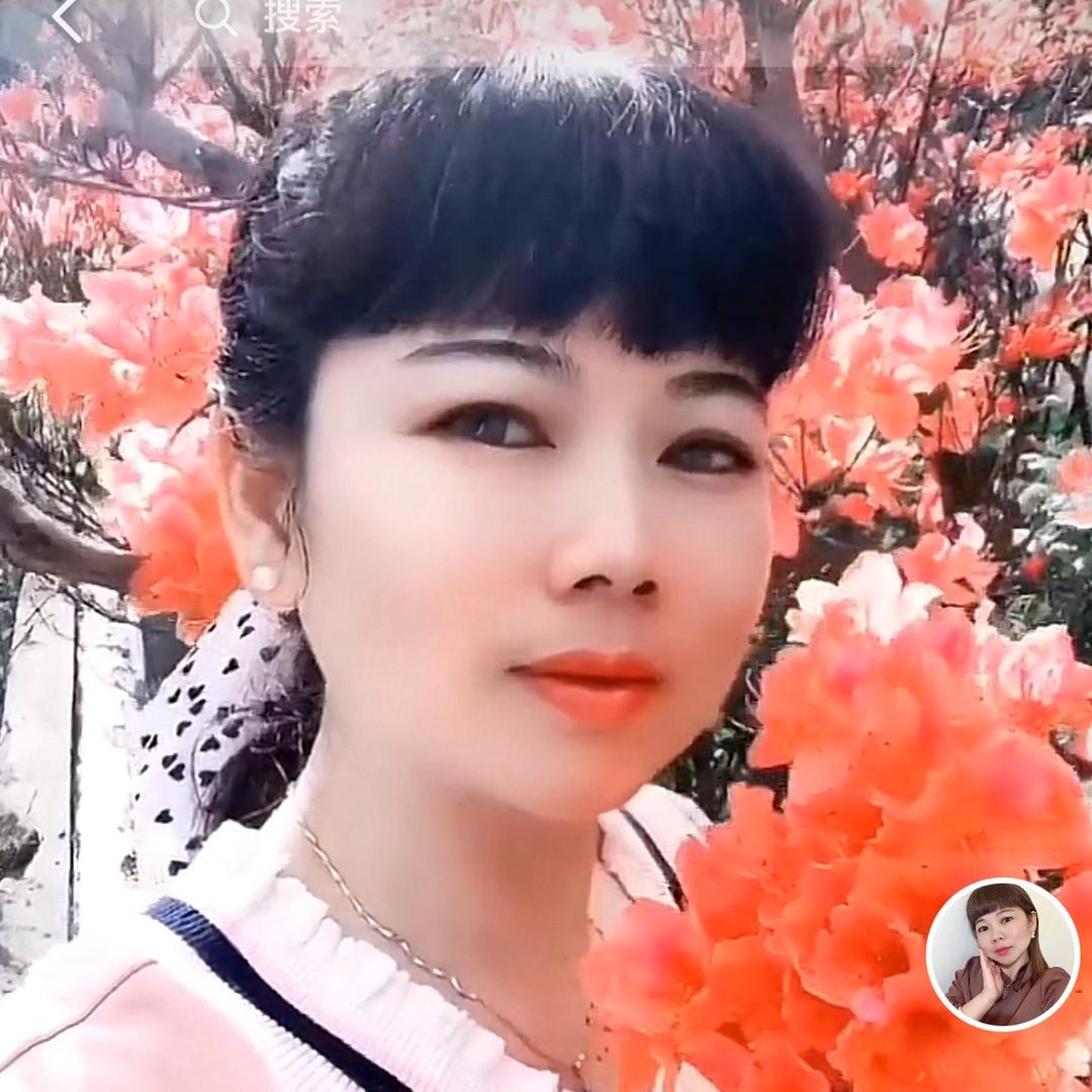 🌸🍂雨中花🍂🌸