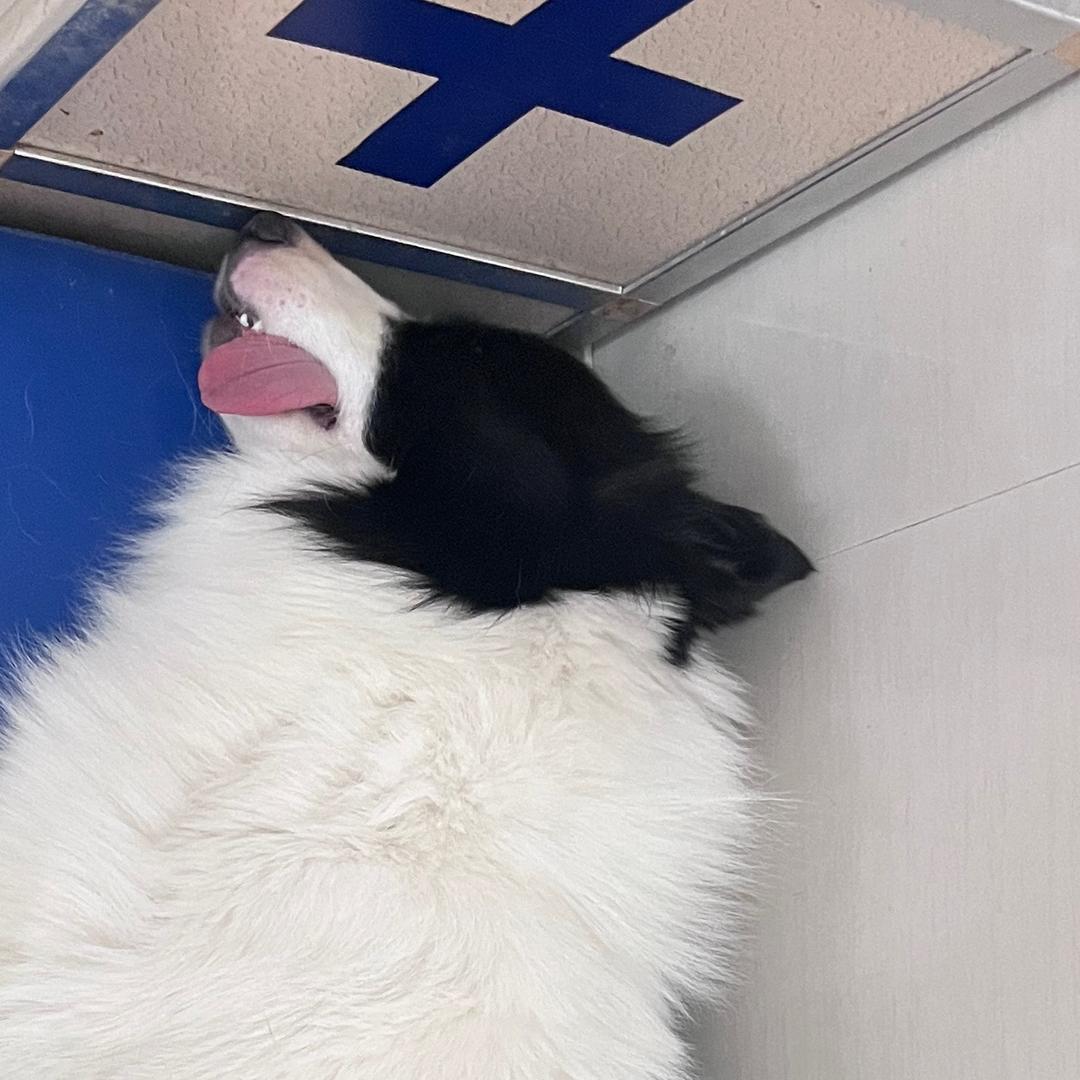 网名而已