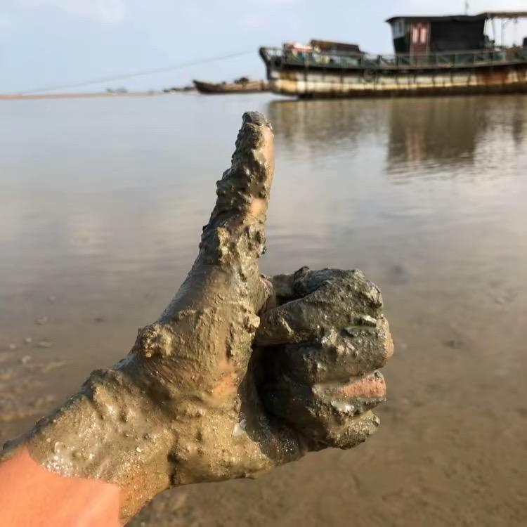 懒人在海边