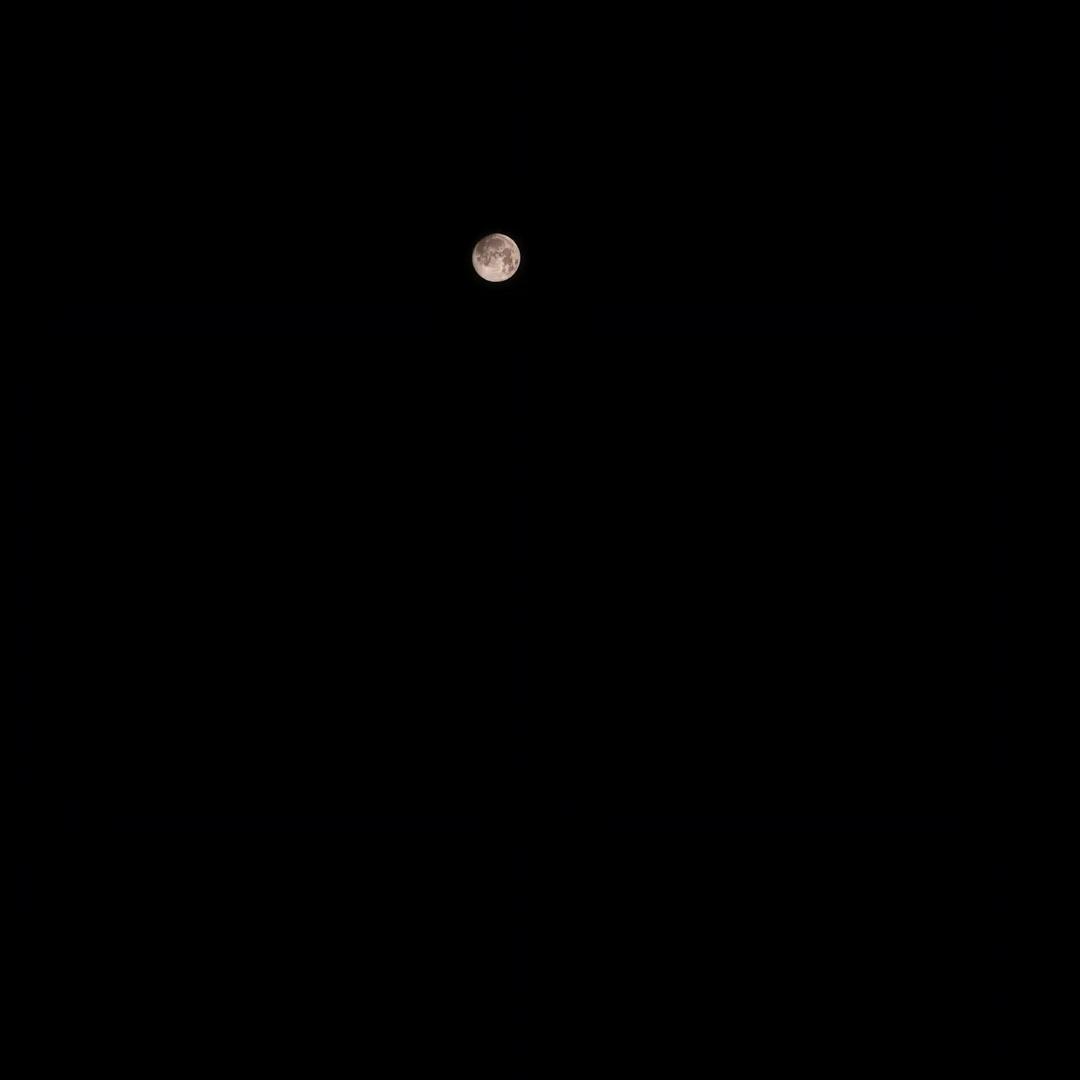 邱美子
