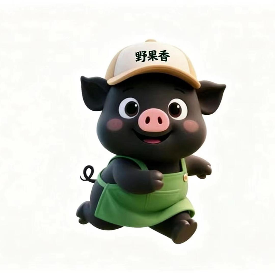 黑猪跑山妹