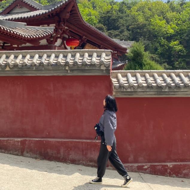 鱼大发哈哈