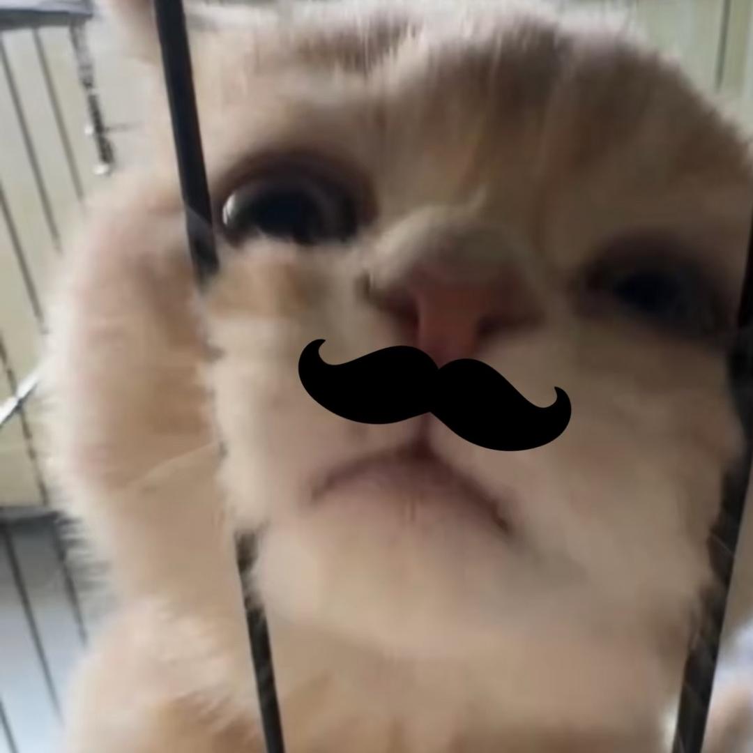 小萌