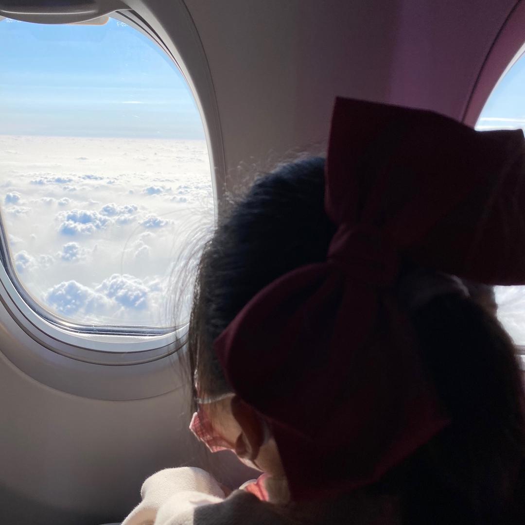 三七半夏
