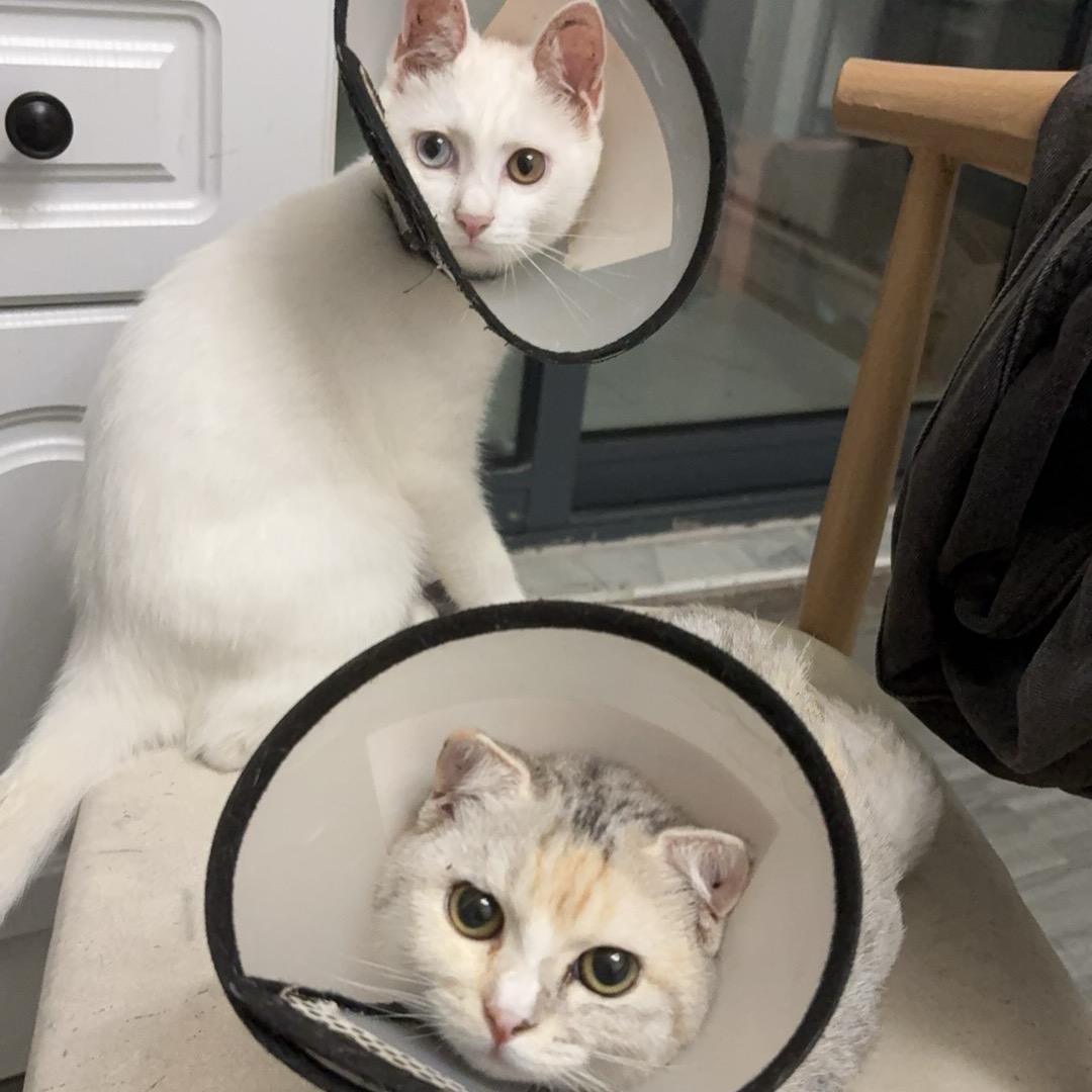 十年老婆竟然是姐夫