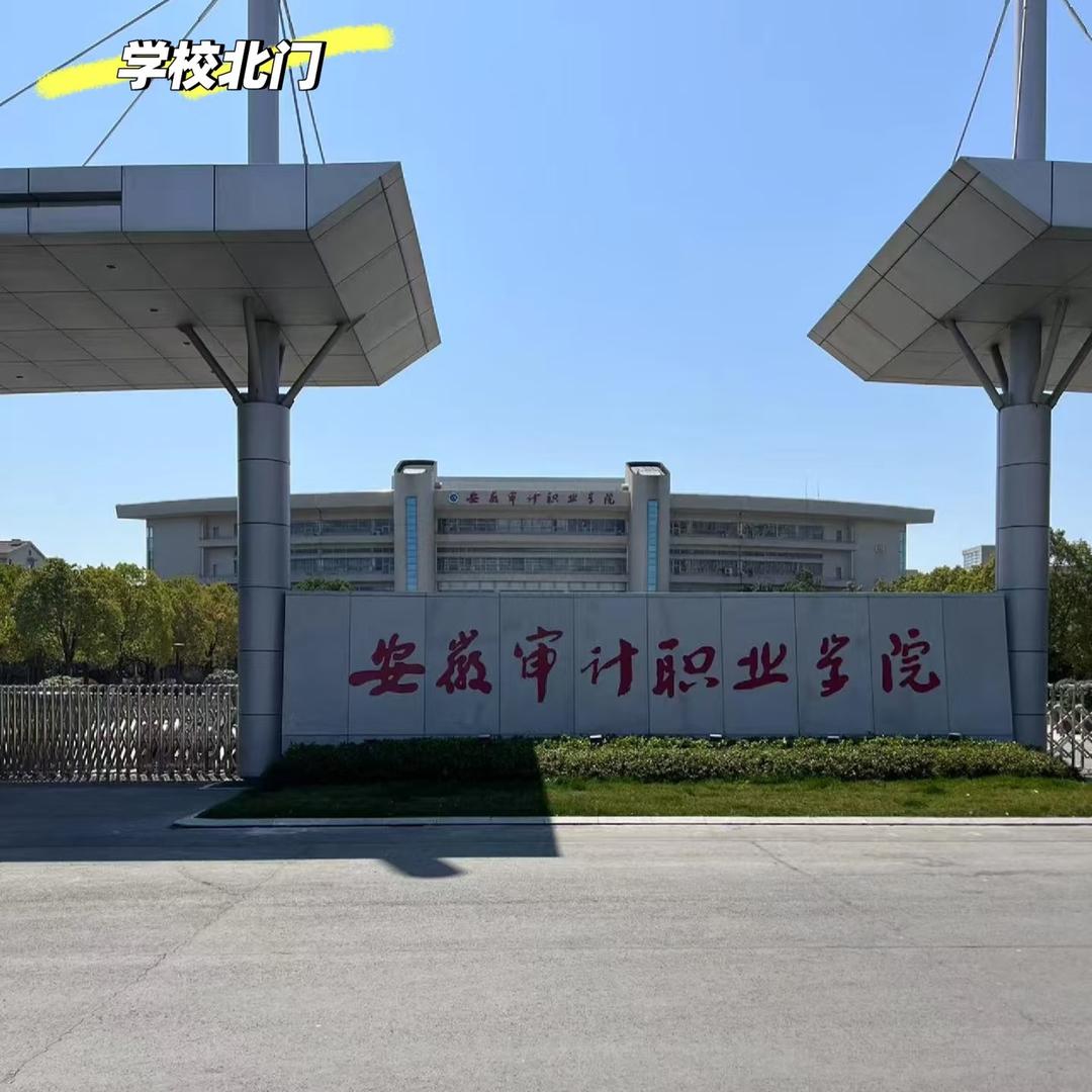 辰辰在审计（专升本版）