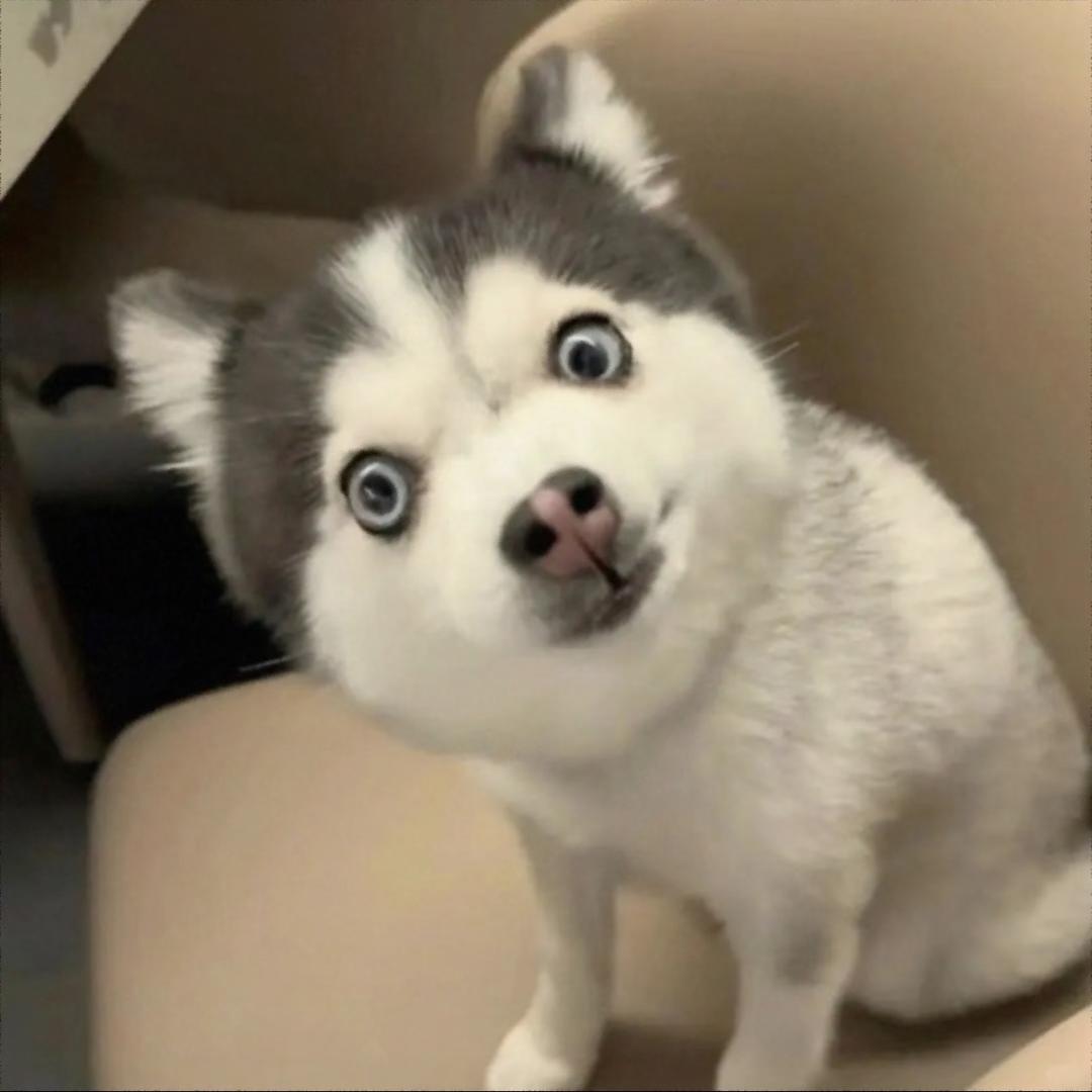 星期七小太子奶拆卡卡