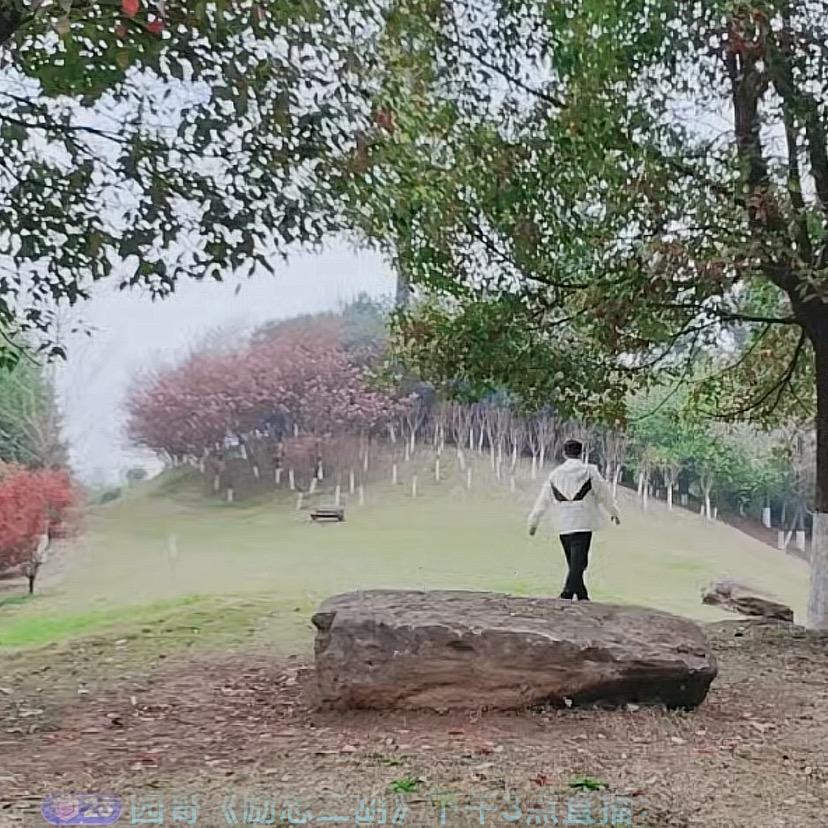 小华首播筹备中