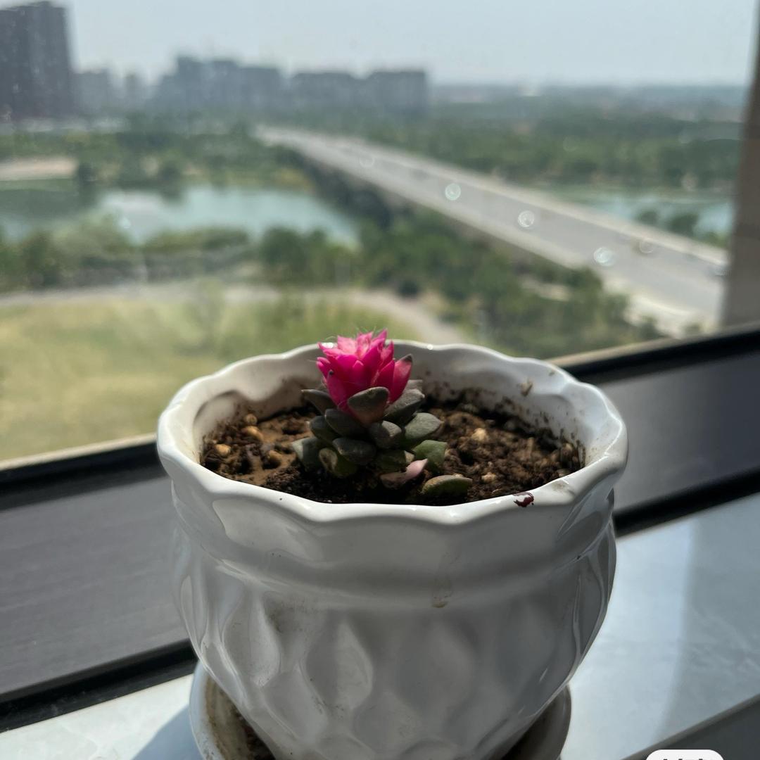 🌻彤彤家🏠