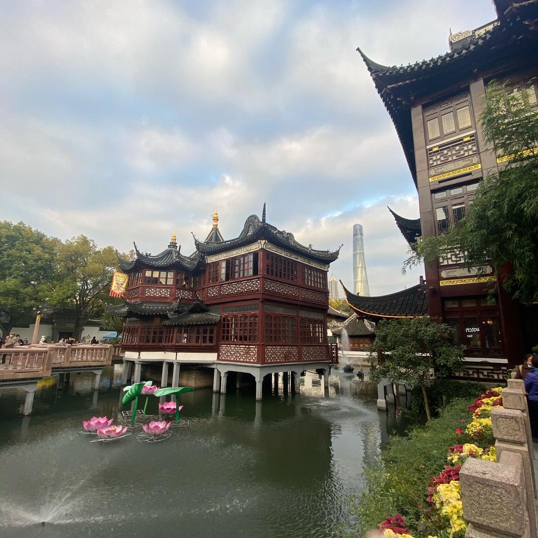 江西丰城市稻鸭香农业发展有限公司