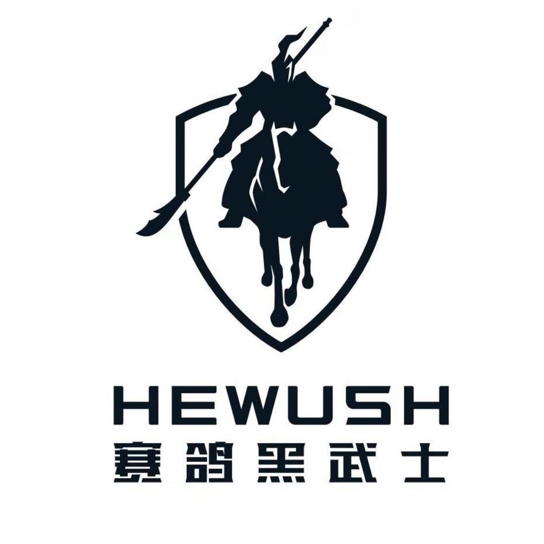 赛鸽电动车（黑武士）庆阳店