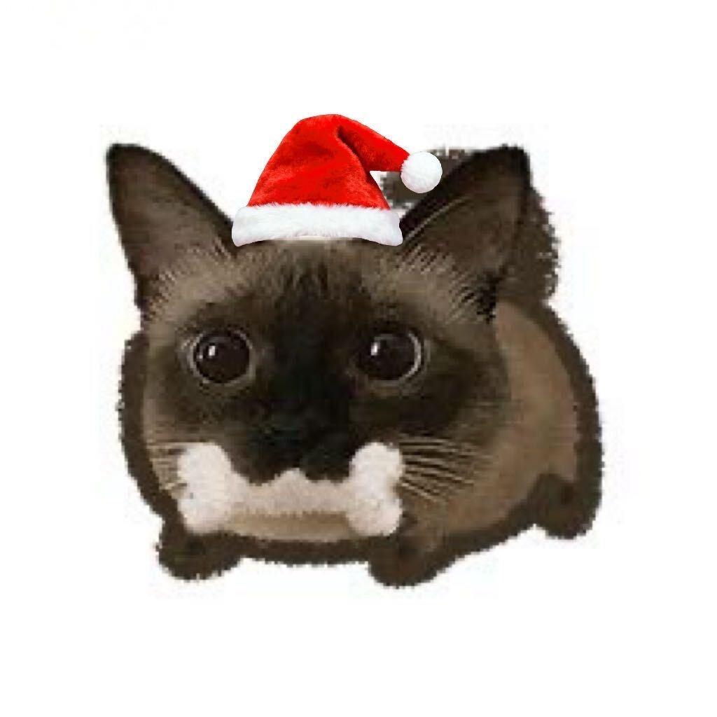 是雪健不是雪茄