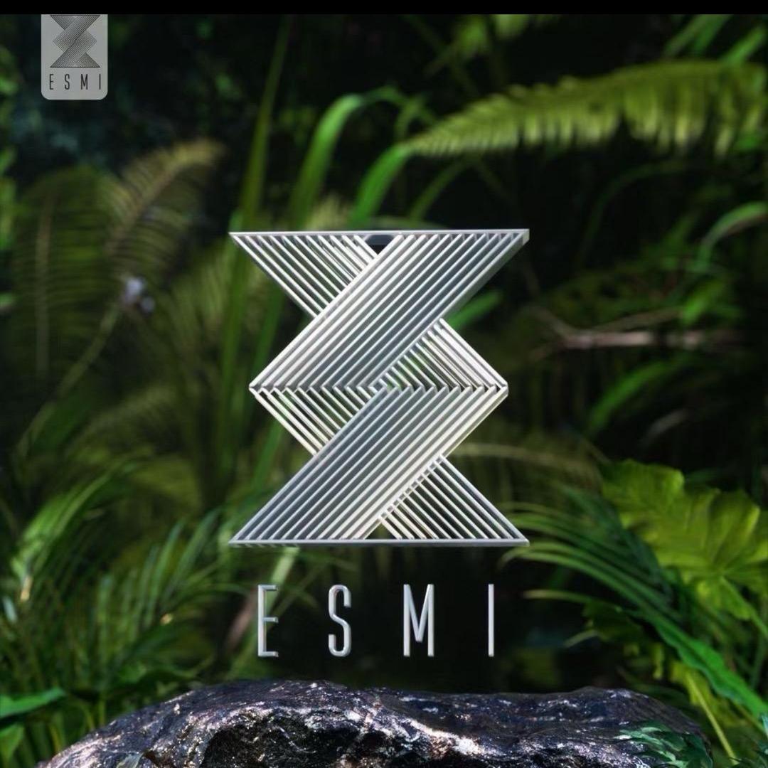 南昌ESMI酒吧（订台）