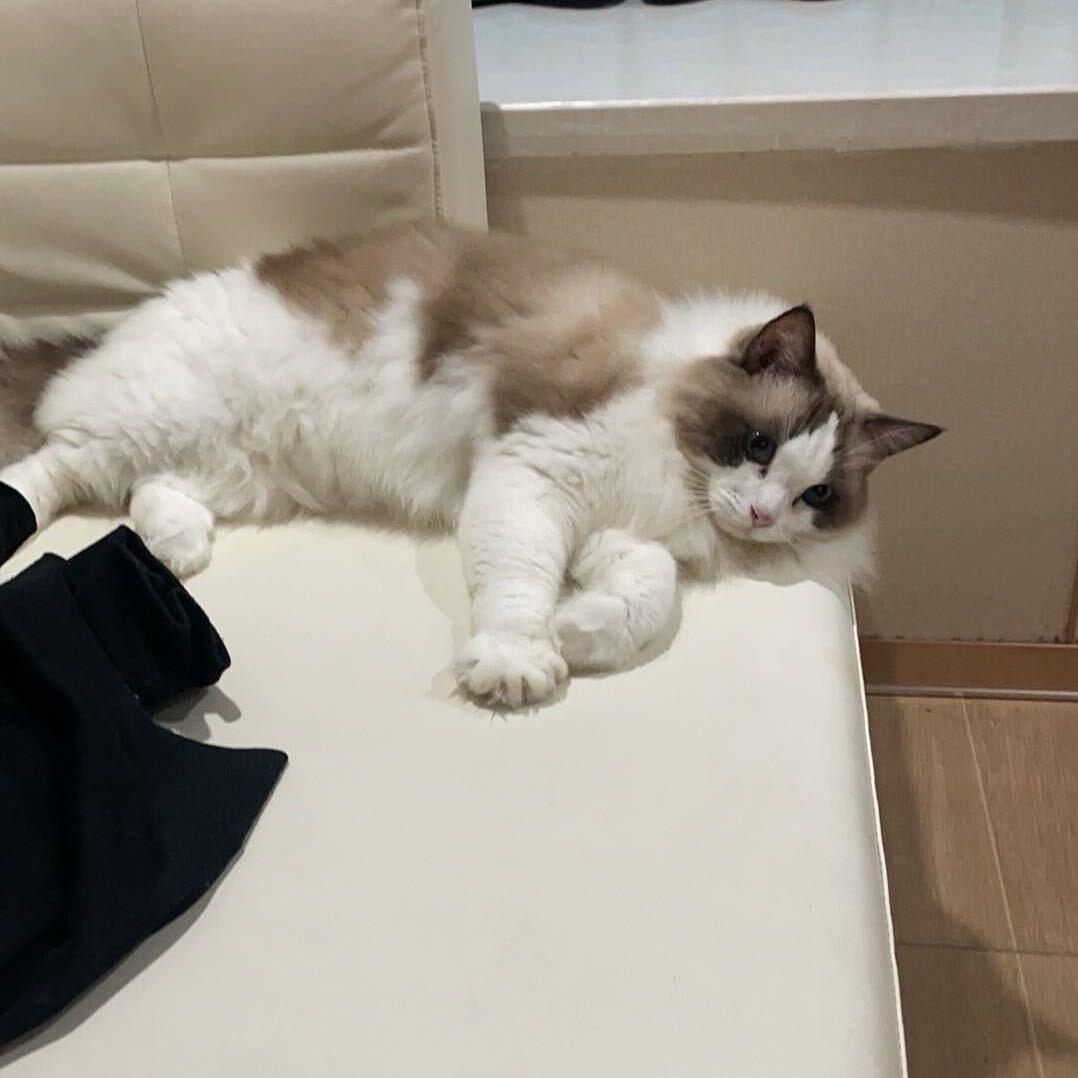 火影劫（当牛做马走投无路）接一切