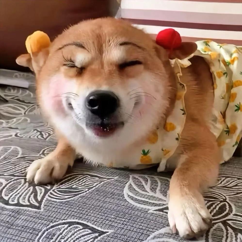 福猪猪(ˇ◕🐽◕ˇ)