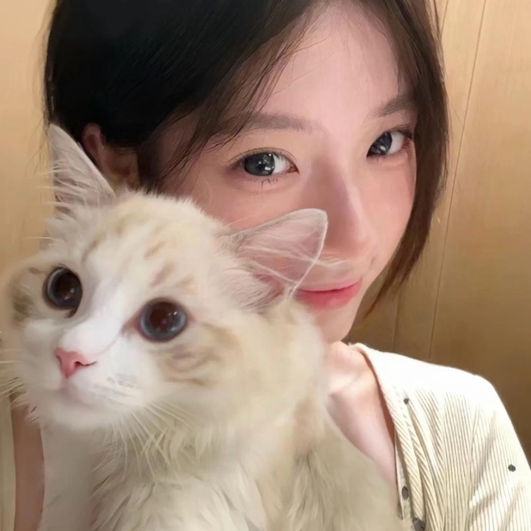 苏苏