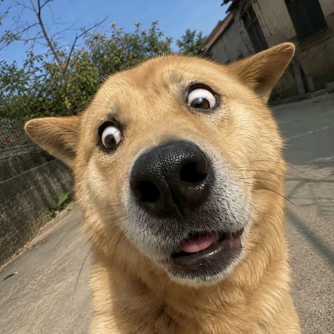 奢华人生的苏晏桃头像