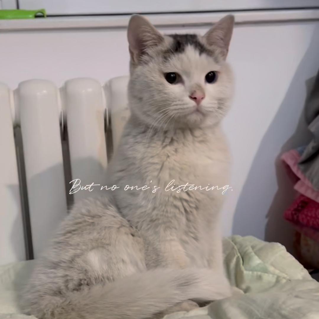 流浪的公主和王子