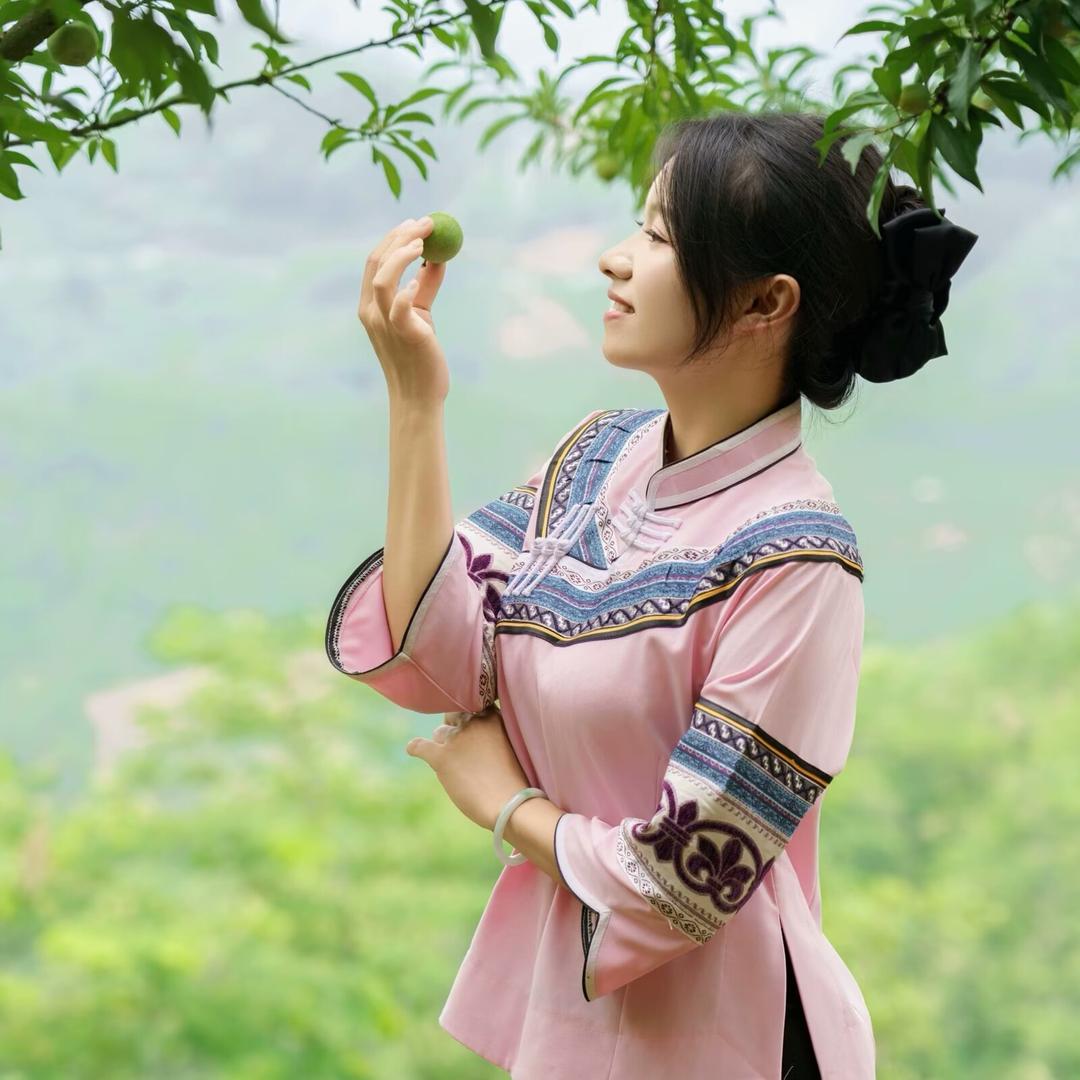 小胡狸🦋六马(蜂糖李)