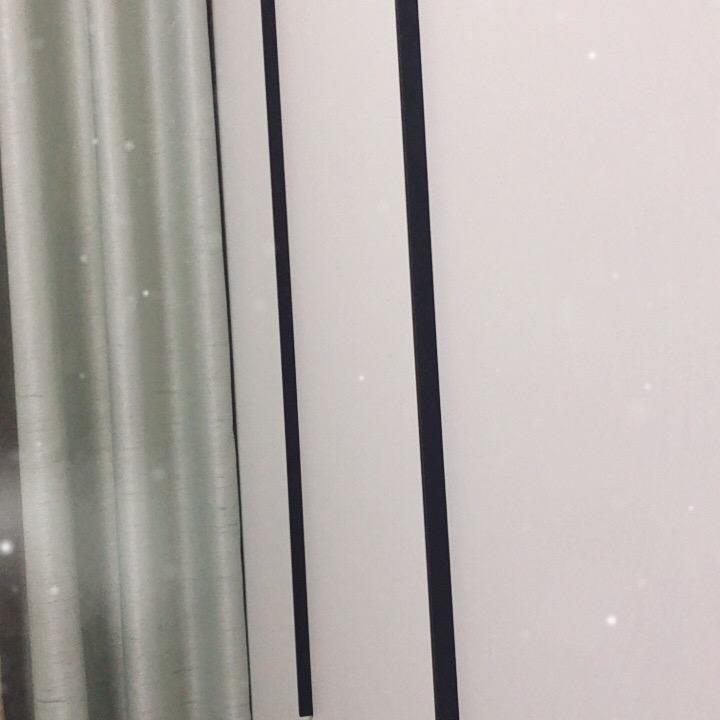 大笨蛋