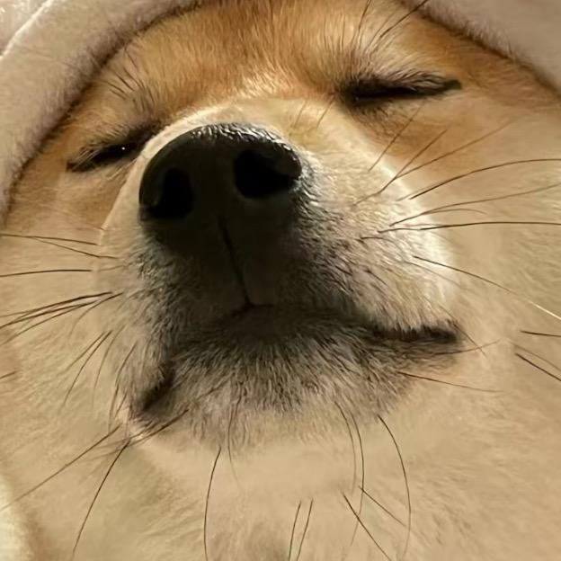是徐不是虚🤫