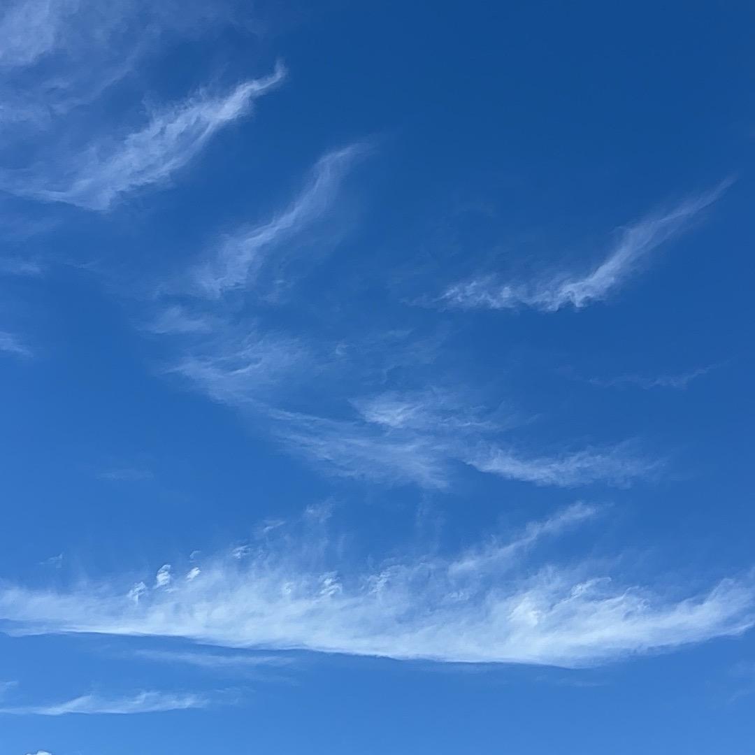 小鱼