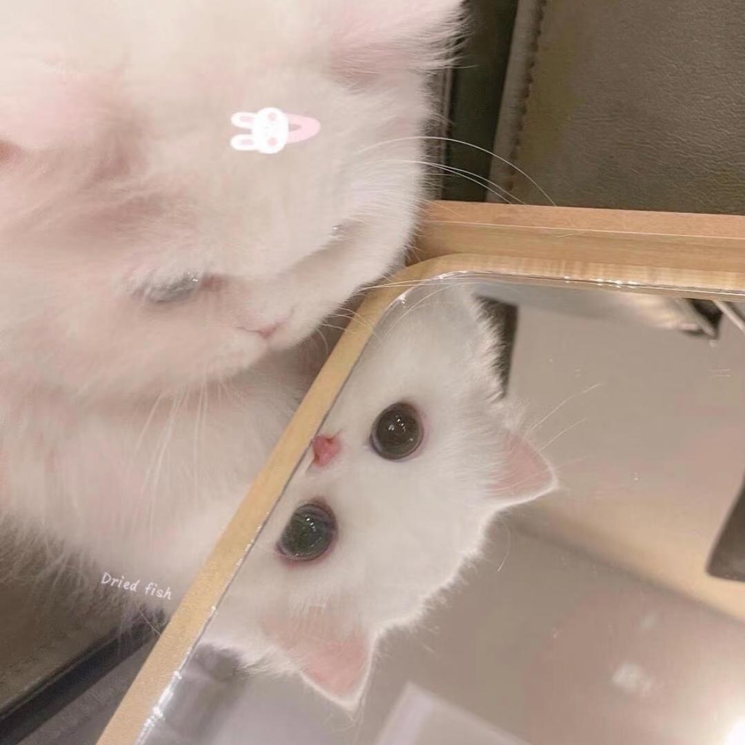 起床了小su