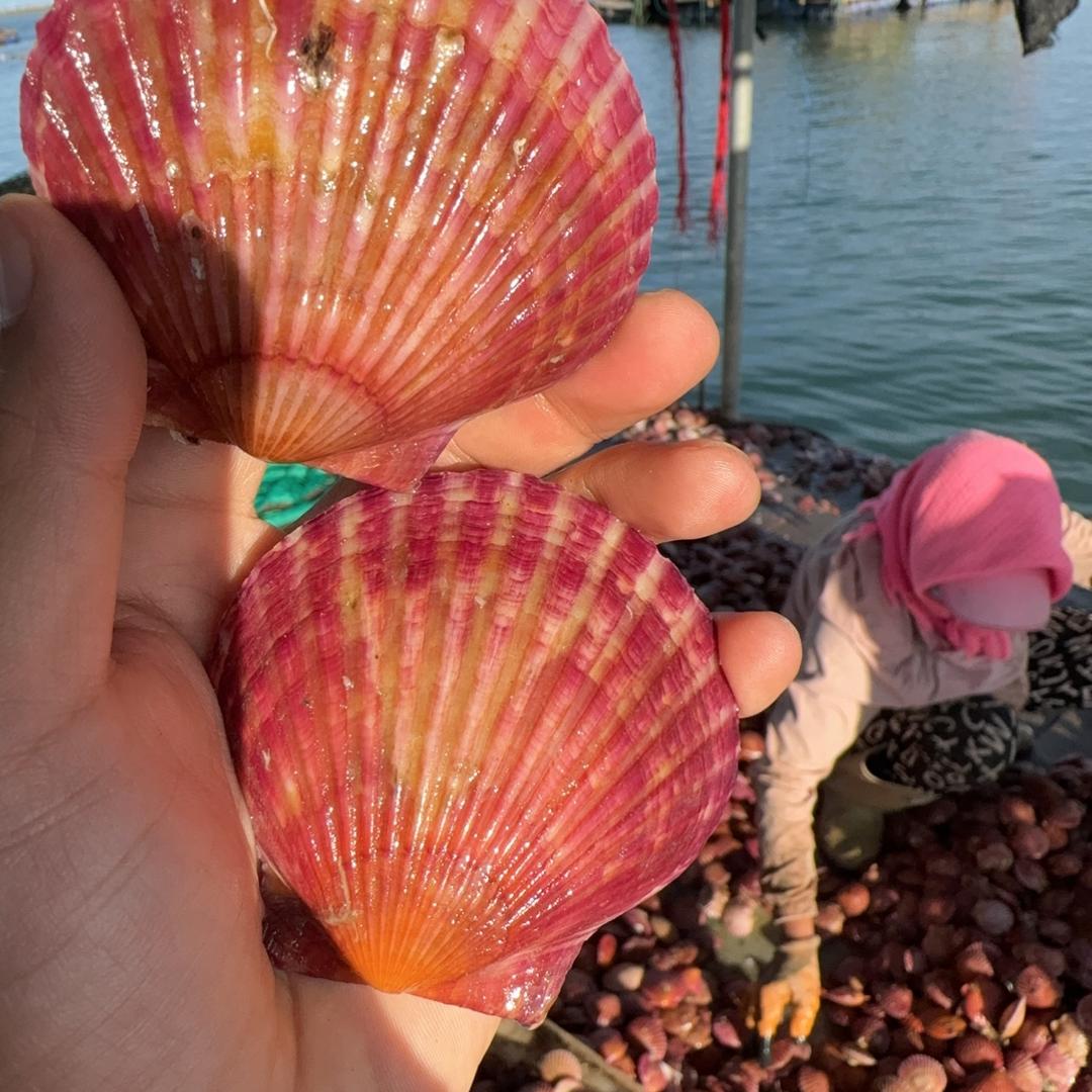 林夕食品