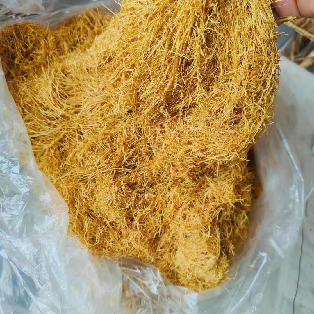 下一站云南2