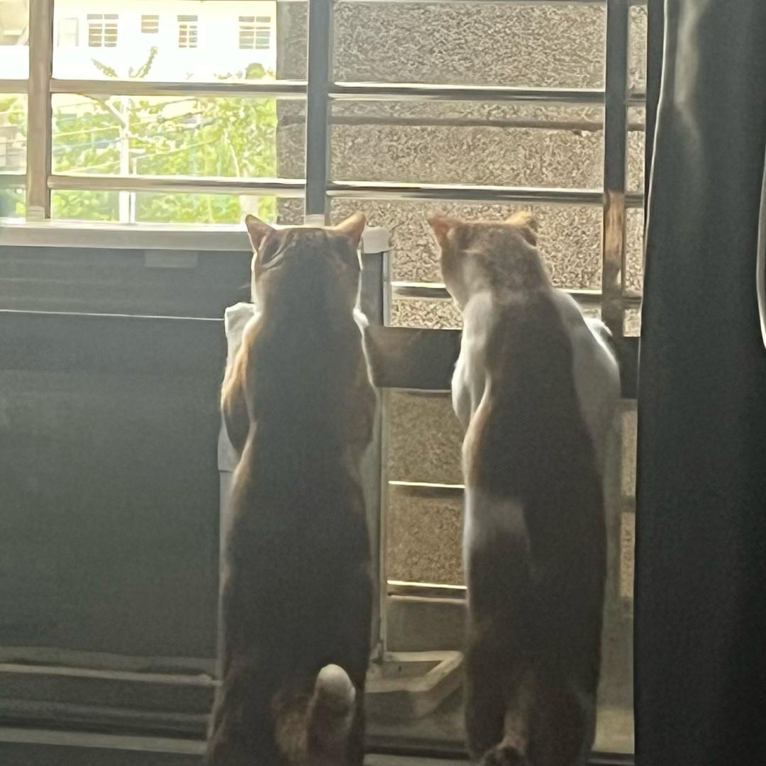 小张