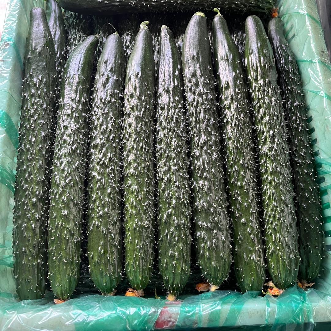 康欣果蔬