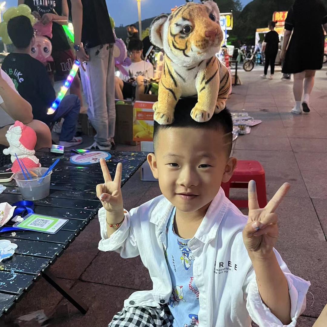 挣钱买路虎🐯🐯