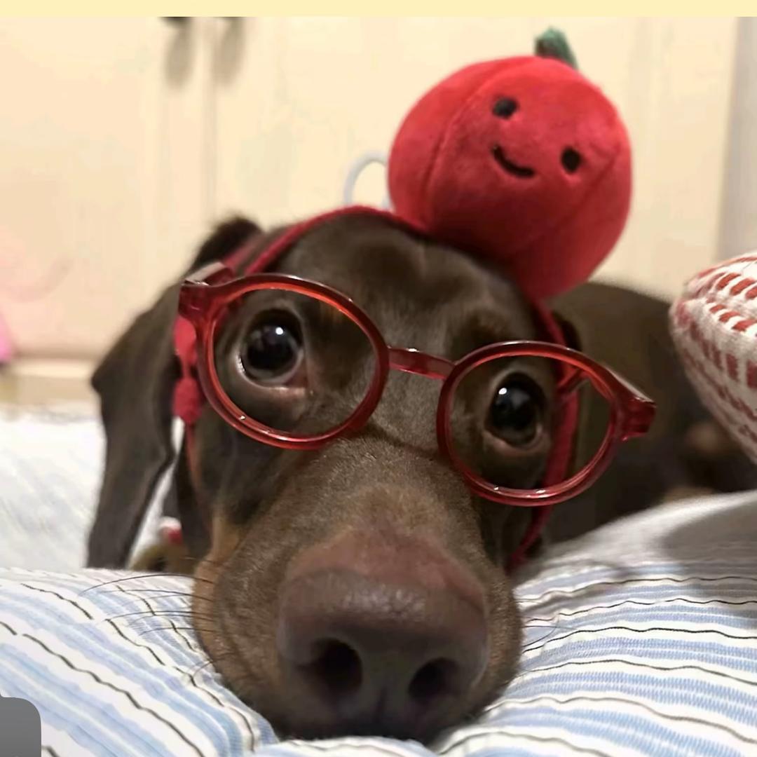 旺旺碎冰冰🍊～