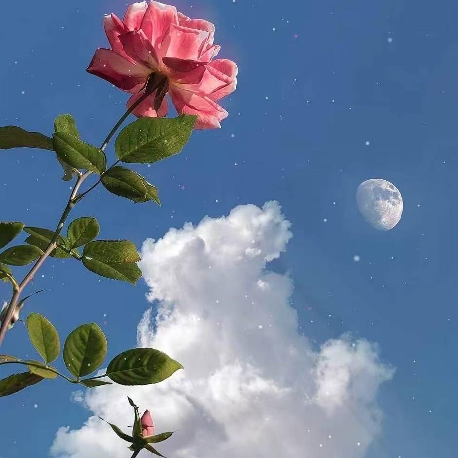 上上签🍀