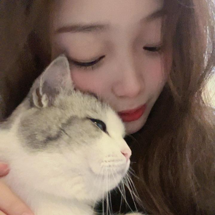 JJcat