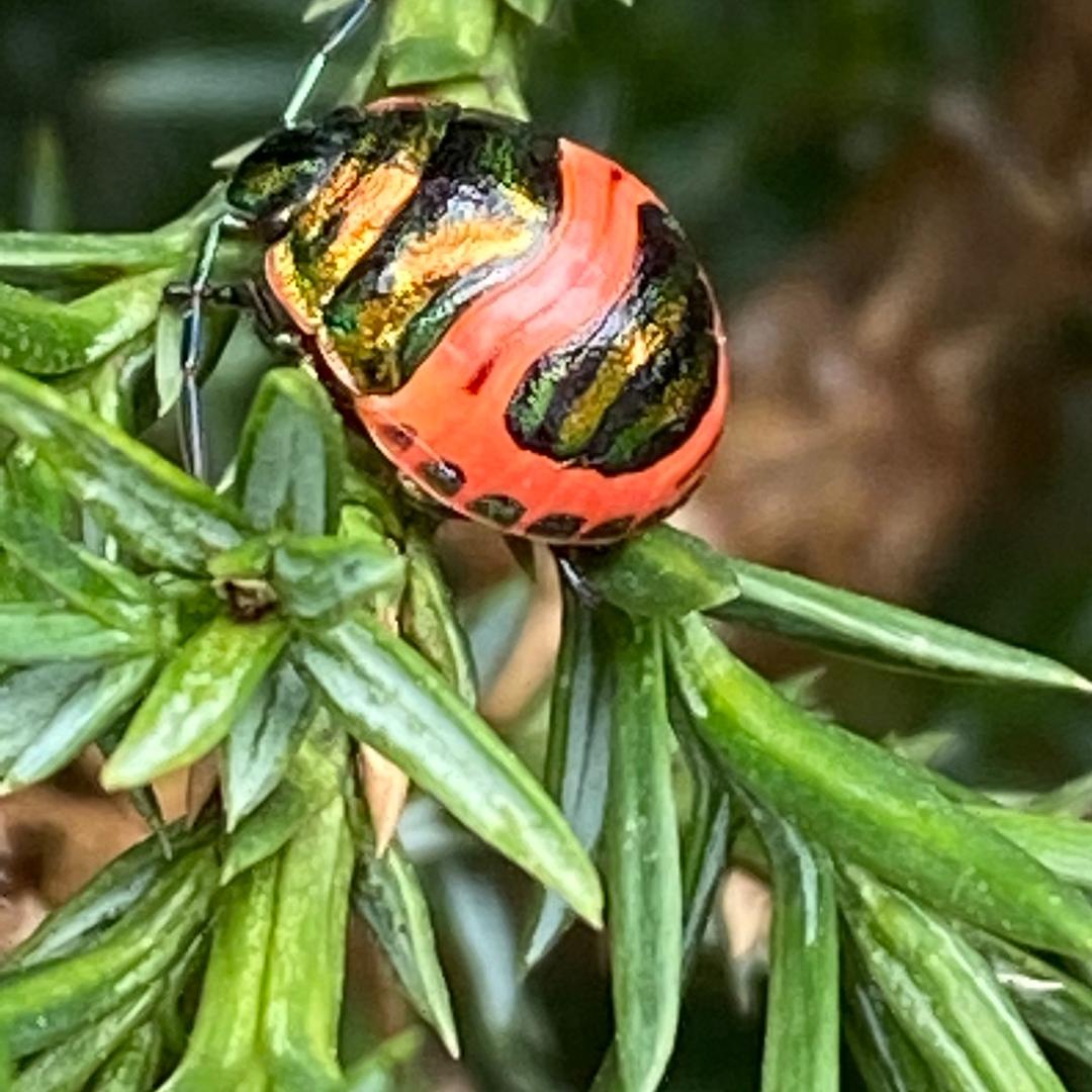 沉默的世界孤独的人