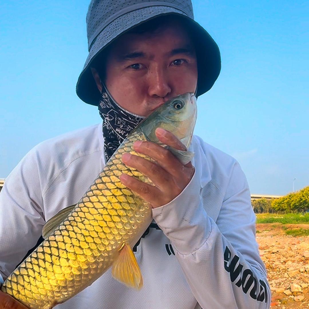 鱼影随行