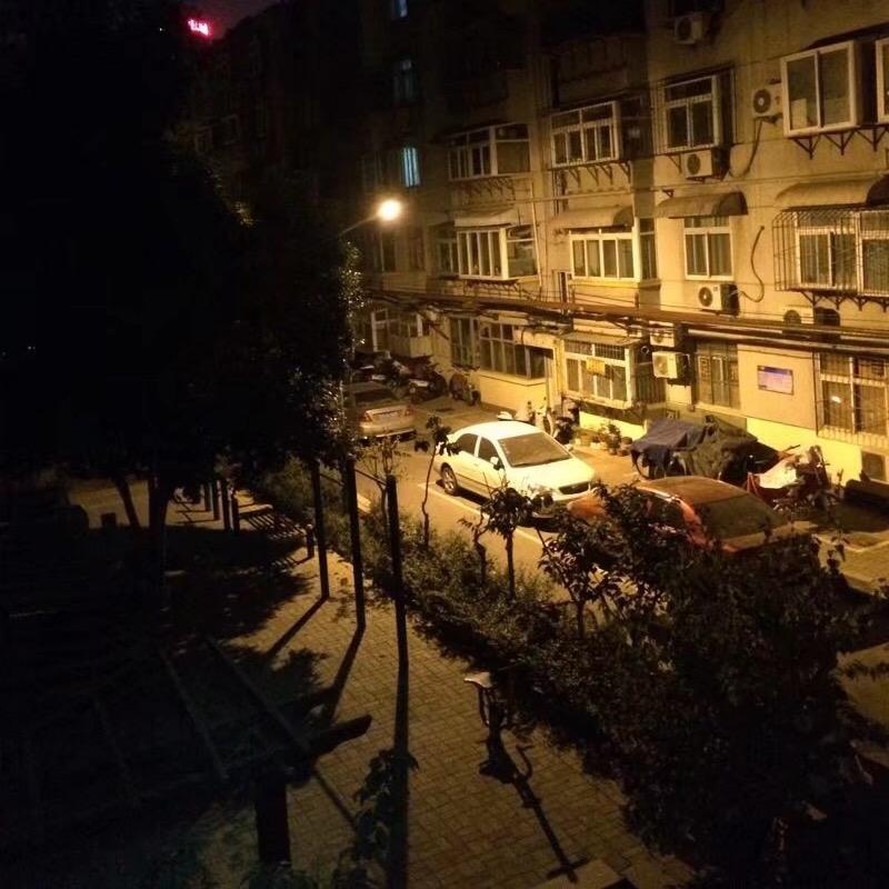 斑马